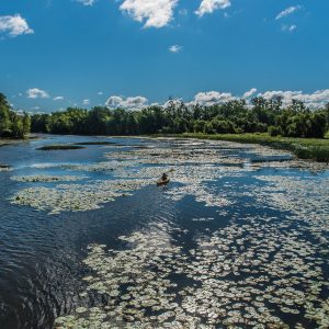 Rivière‑des‑Prairies body found