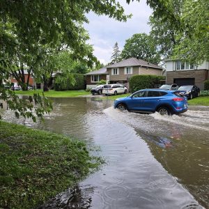 After the flood: What comes next?