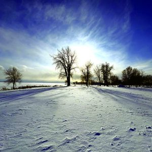 Snow Vortex